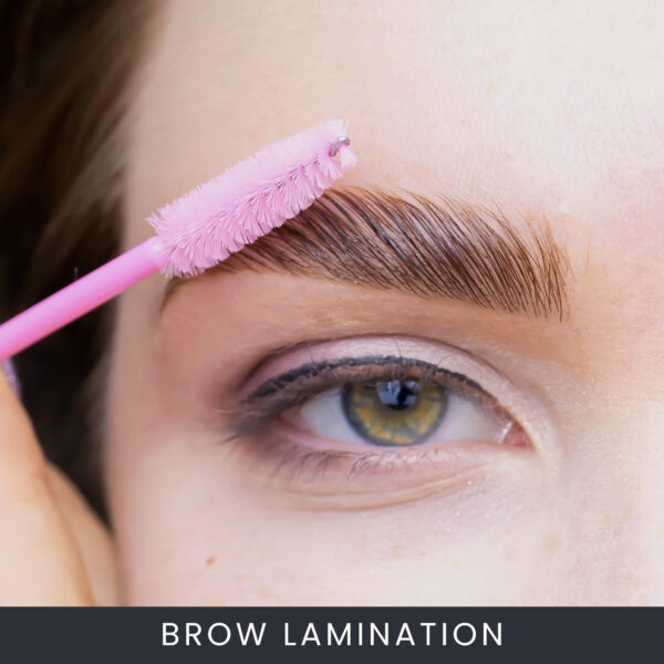 Brow Lamination Course Online Brow Lamination Course Online