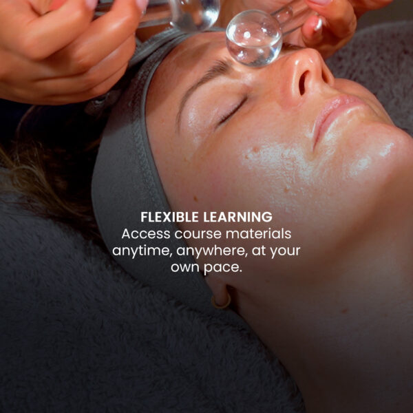 Ice Globe and Jade Stone Facial Course Online Ice Globe and Jade Stone Facial Course Online