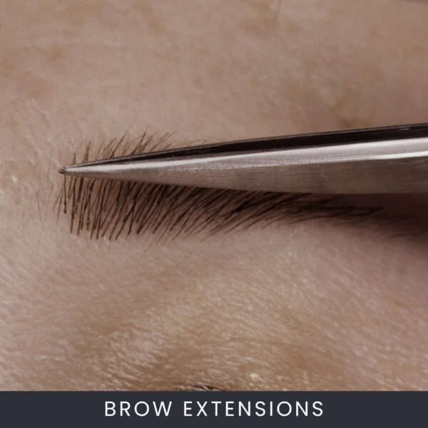 Brow Extension Course Online Brow Extension Course Online