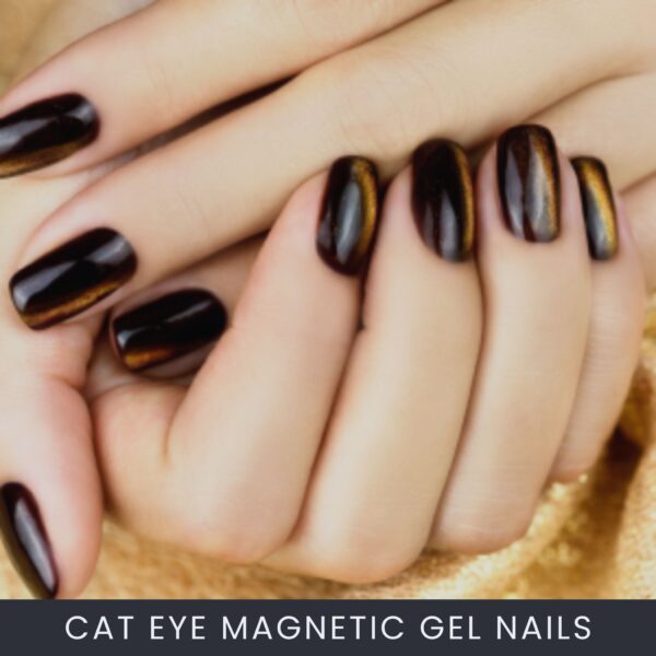 Cat Eye Magnetic Gel Nail Course Online Cat Eye Magnetic Gel Nail Course Online