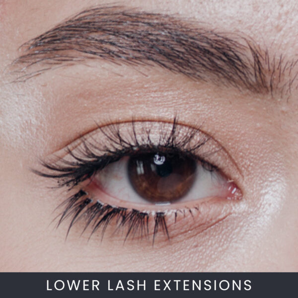 Lower Lash Extensions Course Online Lower Lash Extensions Course Online