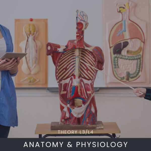 Anatomy and Physiology Theory Level 3/Level 4 Course Online Anatomy and Physiology Theory Level 3/Level 4 Course Online
