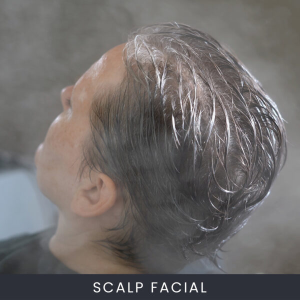 Online-Scalp-Facial-1 Scalp Facial ™ Course Online
