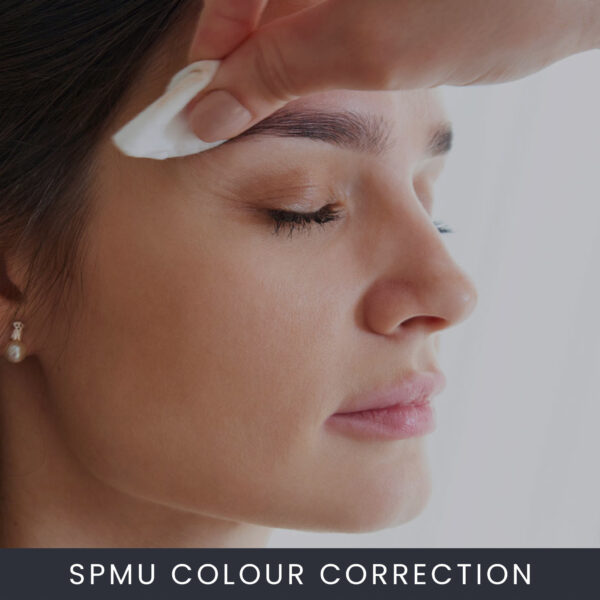 Semi Permanent Make-Up Brow Colour Correction Course Online (SPMU) Semi Permanent Make-Up Brow Colour Correction Course Online (SPMU)
