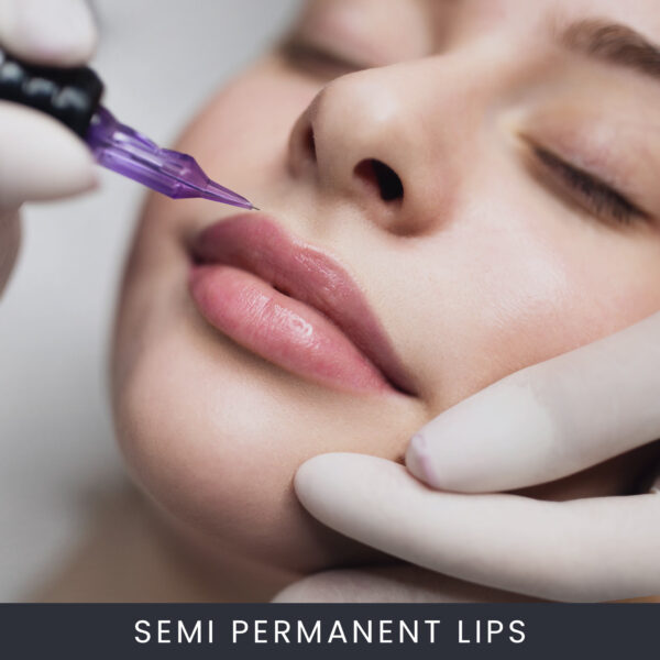 Semi Permanent Make-Up Lips Course Online (SPMU) Semi Permanent Make-Up Lips Course Online (SPMU)