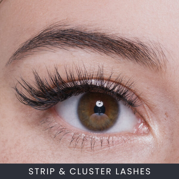 Strip Lash and Cluster Course Online Strip Lash and Cluster Course Online