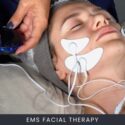 EMS Facial Therapy Course Online EMS Facial Therapy Course Online